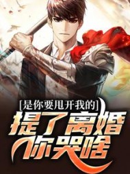 是你要甩开我的，提了离婚你哭啥