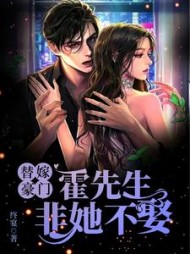 替嫁豪门，霍先生非她不娶阅读