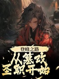 登峰之路，从篡改圣职开始赵凡