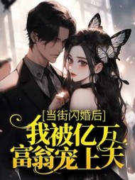 叶婉傅江堰阅读