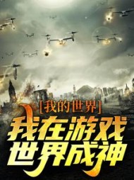 我的世界：我在游戏世界成神杨波