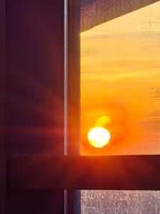 穿越异世界，小小魔兽也敢作妖？后续+番外