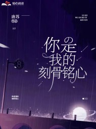 你是我的刻骨铭心唐苏陆砚琛