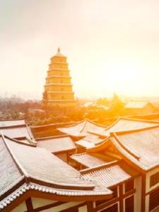 梦境中的灵魂之旅贾宝玉林黛玉阅读