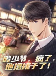 假少爷,疯了,他撂挑子了阅读