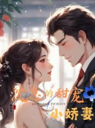 沈总的甜宠小娇妻阅读