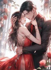 万千风情林小涛段雅馨