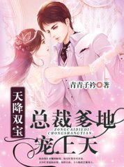 天降双宝总裁爹地宠上天阅读