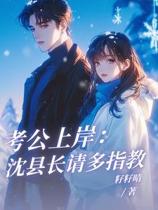 考公上岸：沈县长请多指教！最新