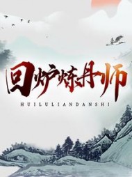 回炉炼丹师