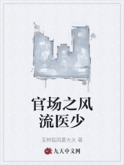 官场之风流医少