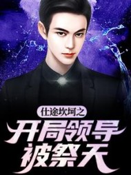 仕途坎坷之开局领导被祭天阅读