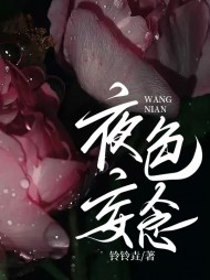 夜色妄念岑笑棠商君年完整版