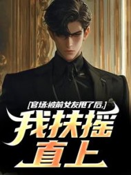 官场：被前女友甩了后，我扶摇直上阅读