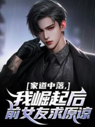 家道中落，我崛起后前女友求原谅阅读