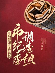 开局停职？我转投市纪委调查组(江门二爷)