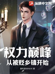 权力巅峰,从被贬乡镇开始阅读