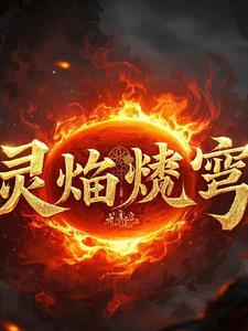 灵焰焚穹林羽
