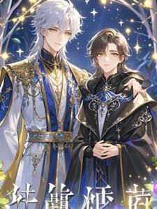 心途同归主人公林羽阅读