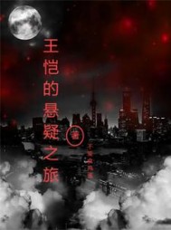 王恺的悬疑之旅