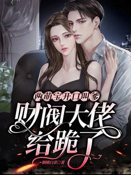 两萌宝开口叫爹，财阀大佬给跪了