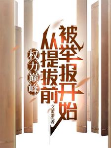 权力巅峰：从提拔前被举报开始阅读