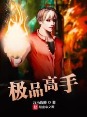 极品高手最新