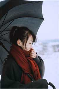 [女强]王府嫡女