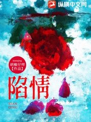 陷情周时安林央阅读