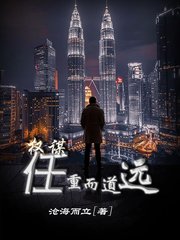 权谋任重而道远阅读