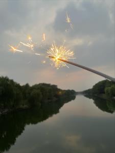 流浪狗吃人事件(闫怀花)阅读