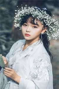 重生后，我诞下至尊金龙宝 作者：生菜