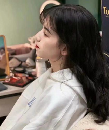 《陛下轻点罚，宫女她说怀了你的崽》衡月 楚今安