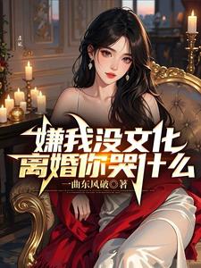 嫌我没文化，离婚你哭什么！阅读