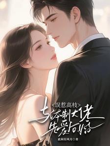 惹高枝：与体制大佬先爱后婚阅读
