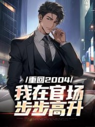 重回2004：我在官场步步高升最新