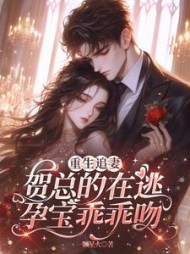 重生追妻，贺总的在逃孕宝乖乖吻