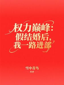 权力巅峰：假结婚后，我一路进部最新