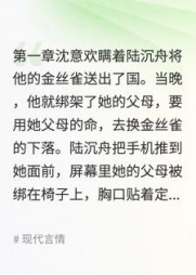 谁与你白头成眷+后续