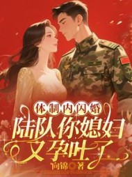 体制内闪婚，陆队你媳妇又孕吐了阅读