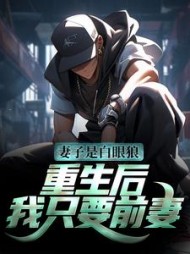 主角是江辞黎书禾的