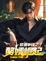 官婿当道吴峰阅读