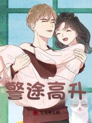 警途高升宋启阅读