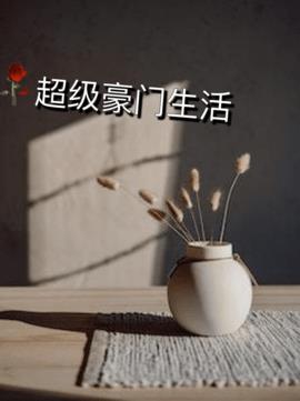 超级豪门生活