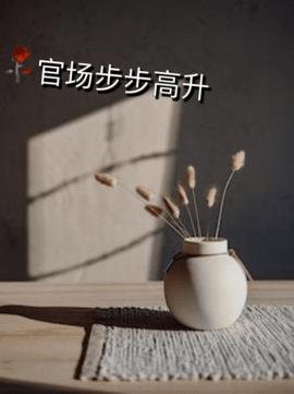 官场步步高升