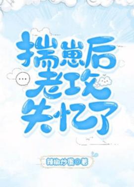 揣崽后老攻失忆了