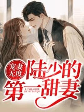 许若初陆绍筠小说