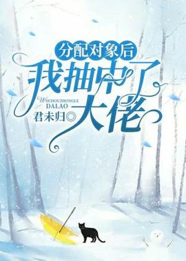 分配对象后，我抽中了大佬