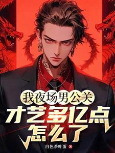 我夜场男公关,才艺多亿点怎么了阅读