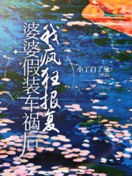 婆婆假装车祸后，我疯狂报复后续+番外